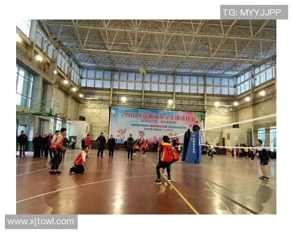 排球心理素质评比出炉成都排球队荣登第九名引发关注 排球心理素质评比出炉成都排球队荣登第九名引发关注