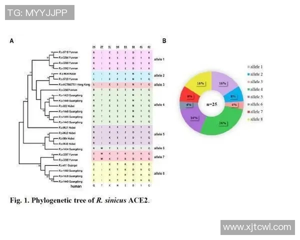 西安排球队的团队协作探讨与排球竞技表现的关系分析 西安排球队的团队协作探讨与排球竞技表现的关系分析