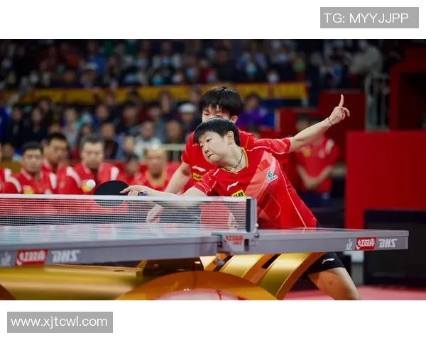 北京乒乓球队灵活性引发热议球迷与专家观点交锋激烈 北京乒乓球队灵活性引发热议球迷与专家观点交锋激烈