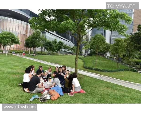 专访李军：深入探讨篮球领域的成功秘诀与成长之路